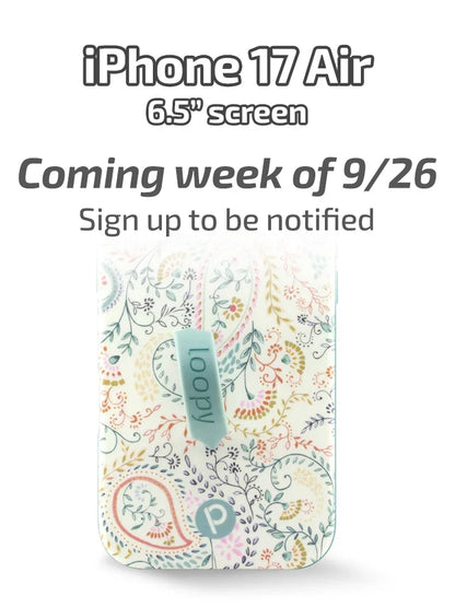 Painted Paisley